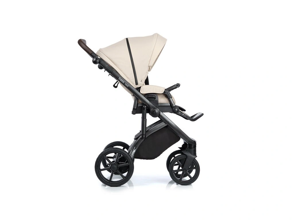 ROAN Bass Next champagne 2v1